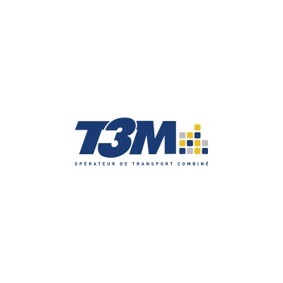 T3M